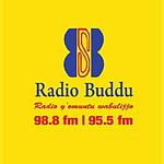 Buddu Fm logo
