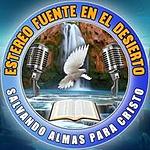 Estereo fuente en el desierto logo