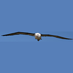 Albatross Audio Radio logo