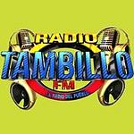 Radio Tambillo FM logo