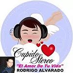 Cupido Stereo USA logo