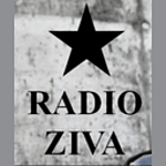 Ziva One logo