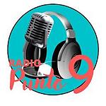 Radio Punto 9
