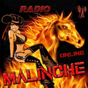 Radio Malinche Online