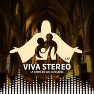 Viva Stereo Alejandro Silva (ASP)