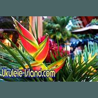 Ukulele Island
