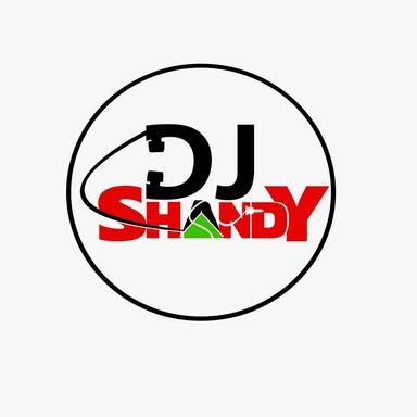 Shandy Radio