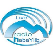 Radio Habayiib (راديو حبايب)